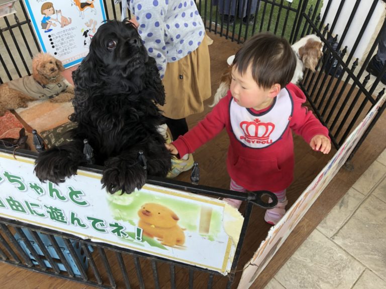 ふれあい動物園