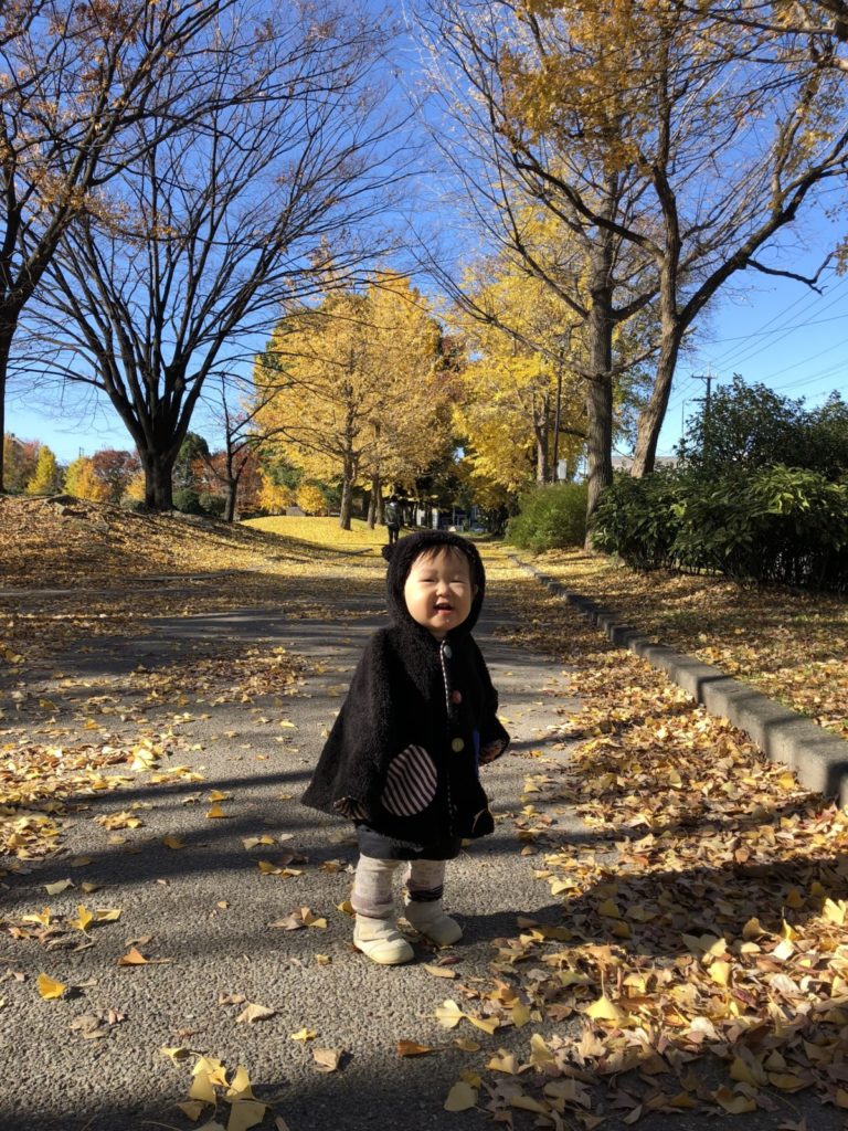 公園と黄色い葉っぱと、ねねちゃん