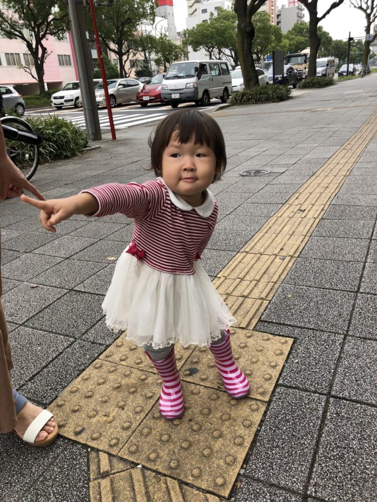 ピタゴラスイッチと　毎日が宝さがし