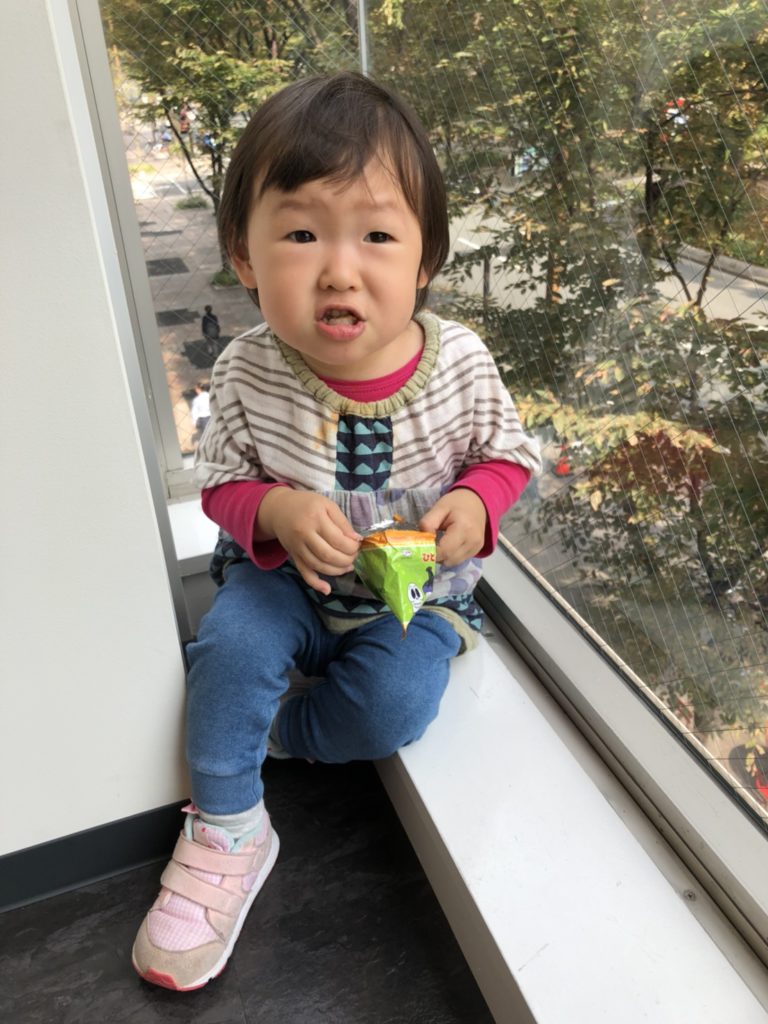 子どもの「これなーに？」に答える
