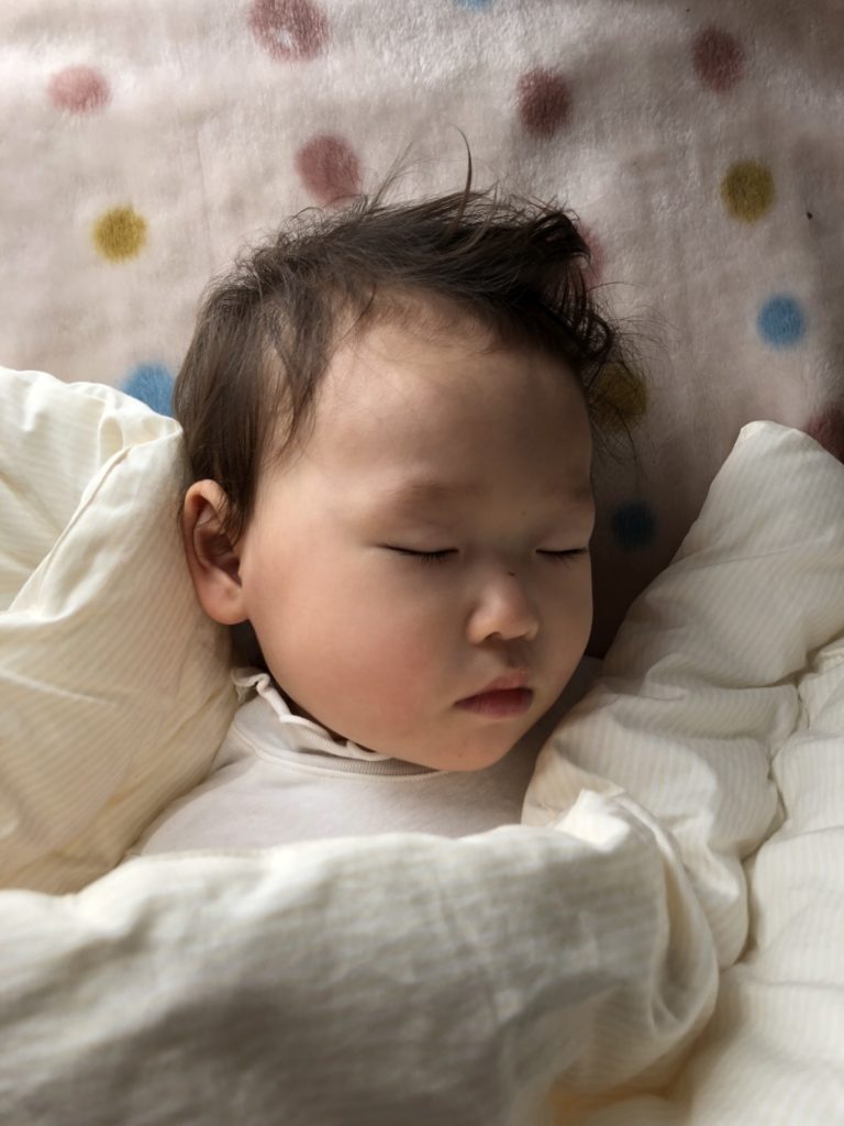 うちの子、美人だなぁー