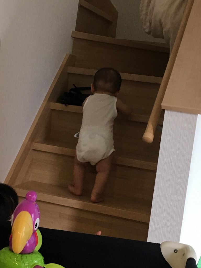 9ヶ月で階段を登り始めた