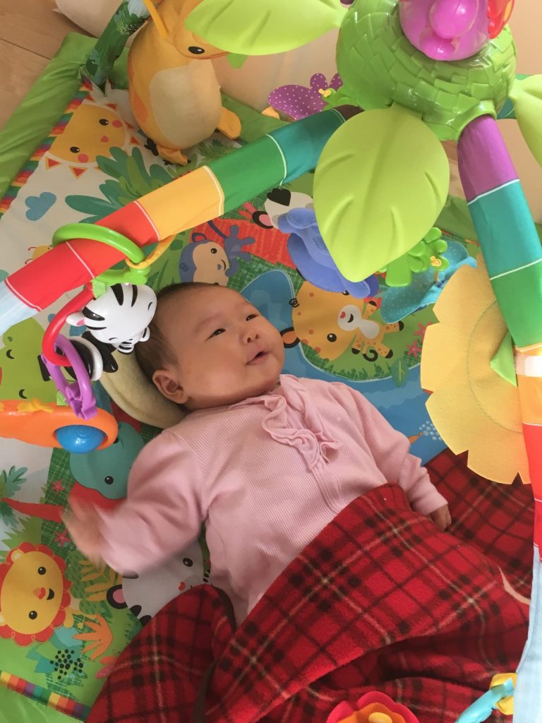 ねねちゃんの集中力