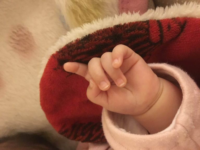 ねねちゃんの爪切りを、諦めた