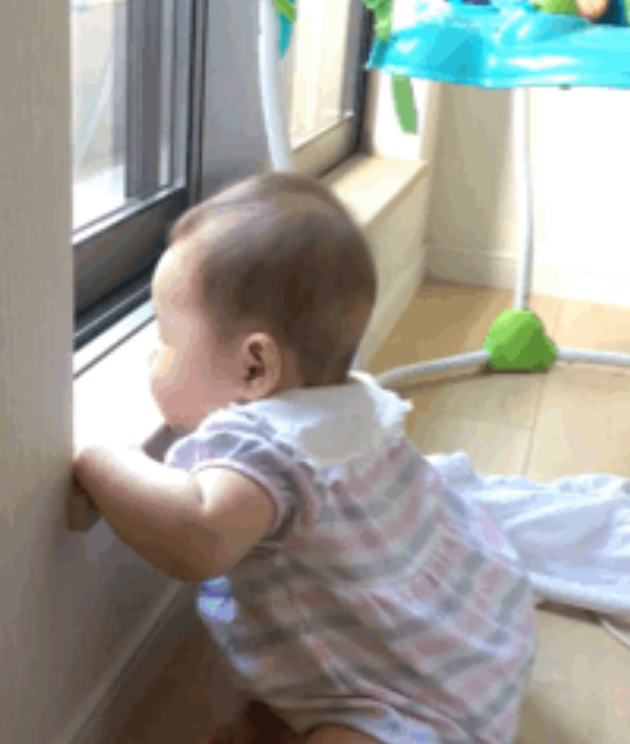 ねねちゃん立てるよ