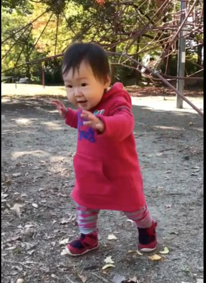 晴れた日は、公園を散歩しよう