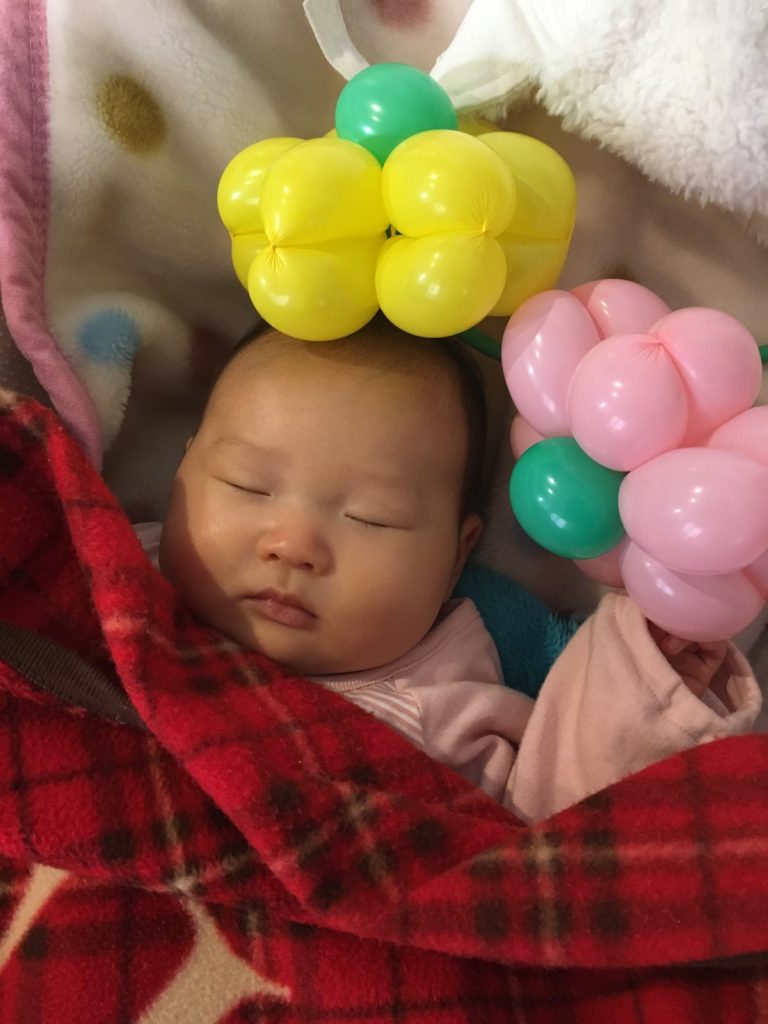 生まれて初めてお花をもらったよ