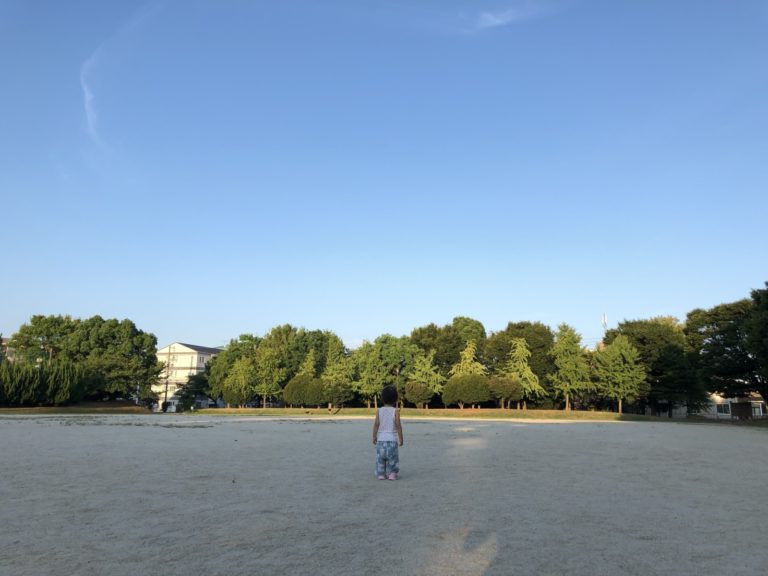 夏に見つけた小さな命のカケラ